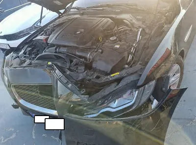 2020 Jaguar XF SAJBB4BN2LCY86667 VIN:SAJBB4BN2LCY86667