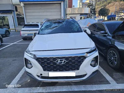 2019 Hyundai Santa FE KMHS381CBKU023445 VIN:KMHS381CBKU023445