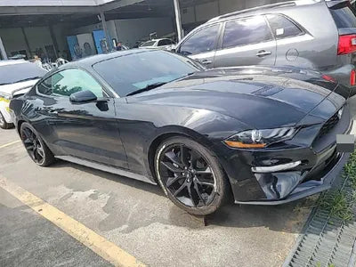 2019 Ford Mustang 571KM1FA6P8TH5K51 VIN:571KM1FA6P8TH5K51