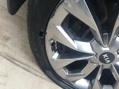 2021 Kia Sorento KNARH81BGMA076817 VIN:KNARH81BGMA076817