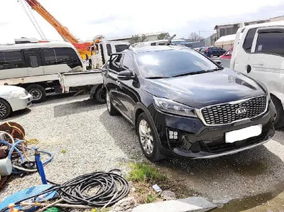 2019 Kia Sorento 315KMKNAPG81BBKA5 VIN:315KMKNAPG81BBKA5
