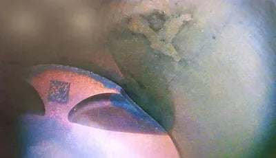 2019 Mercedes-Benz Maybach S 560 VIN: