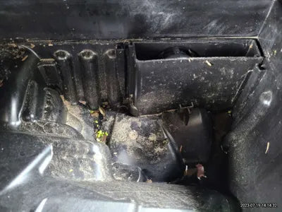 2022 BMW 120 WBA11DG06N5V40412 VIN:WBA11DG06N5V40412