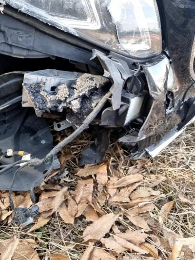 2015 Mercedes-Benz E 350 VIN: