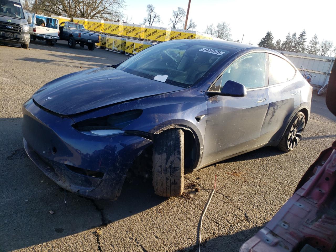 2023 TESLA MODEL Y  VIN:7SAYGDEF2PF642186