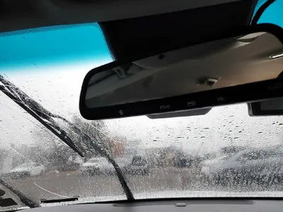 2019 Hyundai Santa FE KMHS581CBKU116989 VIN:KMHS581CBKU116989