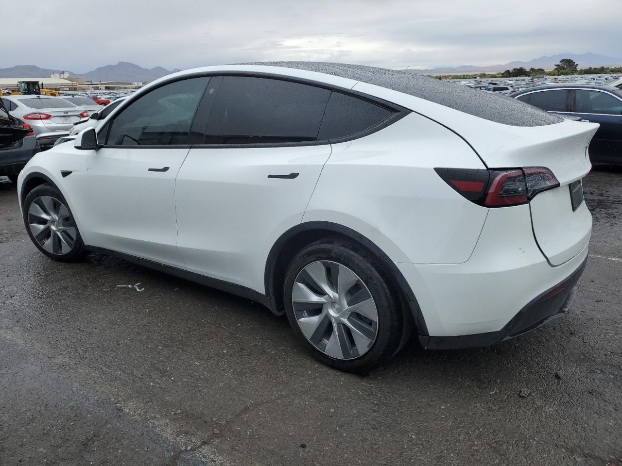 2023 TESLA MODEL Y  VIN:7SAYGDEE5PF686156