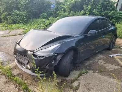 2021 Tesla Model 3 5YJ3E1EBXMF947195 VIN:5YJ3E1EBXMF947195