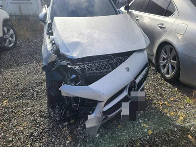 2019 Mercedes-Benz A 220 WDD3F4EB1KJ071496 VIN:WDD3F4EB1KJ071496