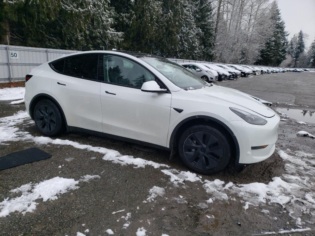 2024 TESLA MODEL Y  VIN:7SAYGDED6RF153761