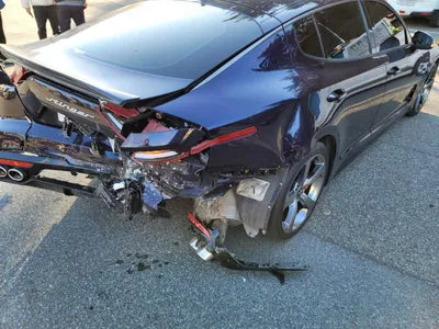 2020 Kia Stinger KNAE351ABLS078711 VIN:KNAE351ABLS078711