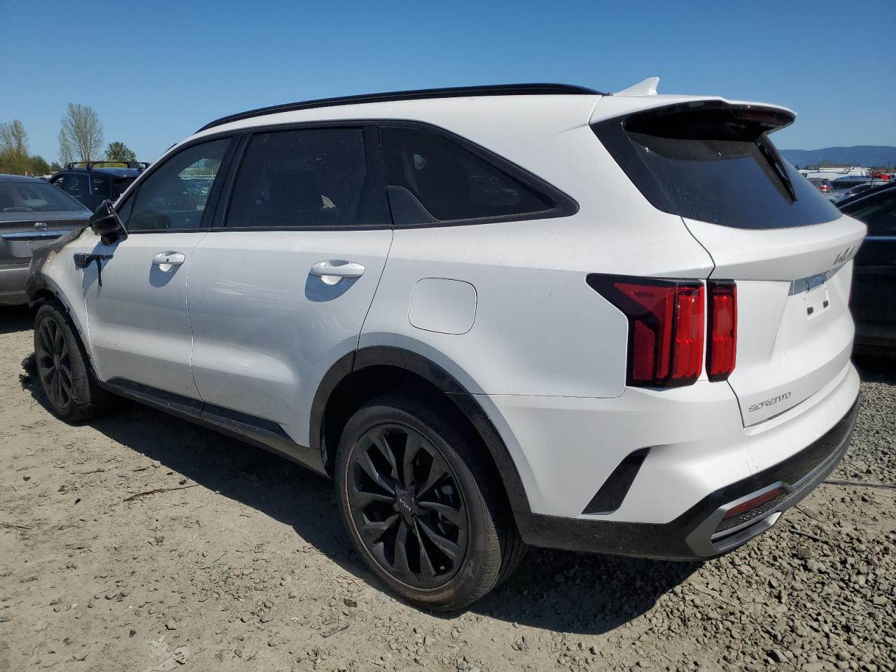 2023 KIA SORENTO SX VIN:5XYRKDLF6PG221079