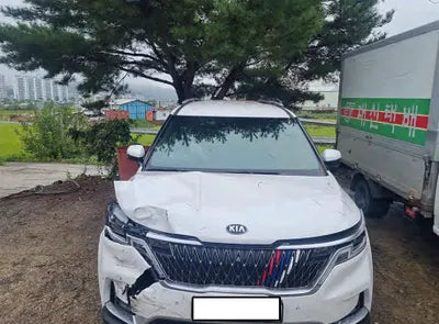 2021 Kia Carnival KNANE81BBMS073819 VIN:KNANE81BBMS073819