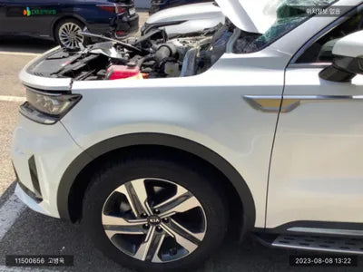 2020 Kia Sorento KNARM81GBMA012678 VIN:KNARM81GBMA012678