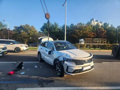 2021 Kia Sorento KNARF81FGMA104067 VIN:KNARF81FGMA104067
