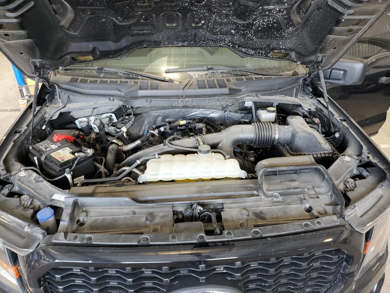 2023 FORD F150 SUPER CAB VIN:1FTEX1EP2PKE67299