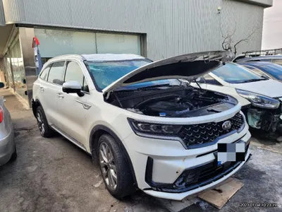 2020 Kia Sorento KNAPS81ABLA625226 VIN:KNAPS81ABLA625226