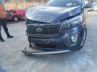 2017 Kia Sorento KNAPS81ABHA328165 VIN:KNAPS81ABHA328165