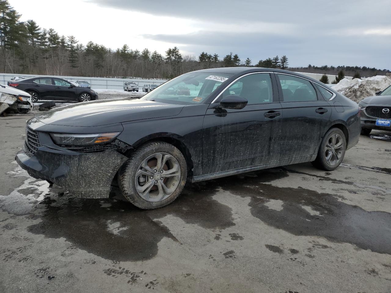 2023 HONDA ACCORD EX VIN:1HGCY1F38PA019821