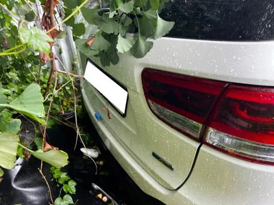 2017 Kia Sorento KNAPS81ABHA320473 VIN:KNAPS81ABHA320473