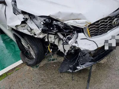 2019 Kia Sorento KNAPS81BDLA636099 VIN:KNAPS81BDLA636099