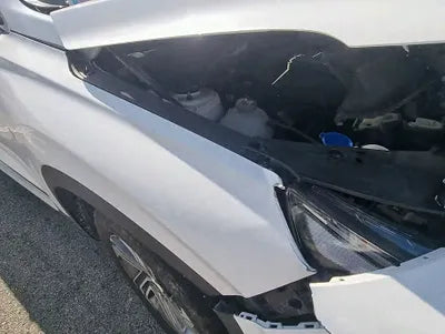 2021 Hyundai Santa FE KMHS281HGMU361574 VIN:KMHS281HGMU361574