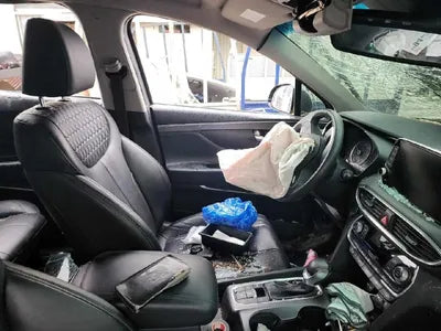 2019 Hyundai Santa FE 2KMHS381BBKU07648 VIN:2KMHS381BBKU07648