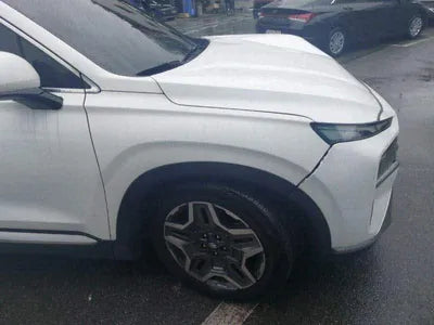 2021 Hyundai Santa FE KMHS3811BNU021834 VIN:KMHS3811BNU021834