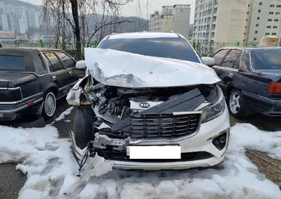 2019 Kia Carnival KNAMB81ABKS575292 VIN:KNAMB81ABKS575292