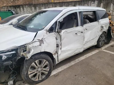 2019 Kia Carnival KNAMB81ABKS592317 VIN:KNAMB81ABKS592317