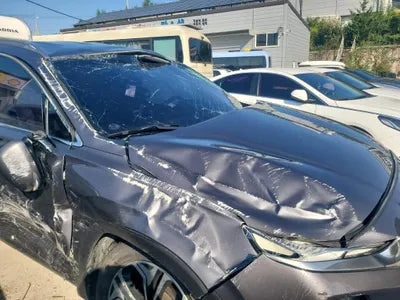 2018 Hyundai Santa FE KMHS381BBKU030465 VIN:KMHS381BBKU030465