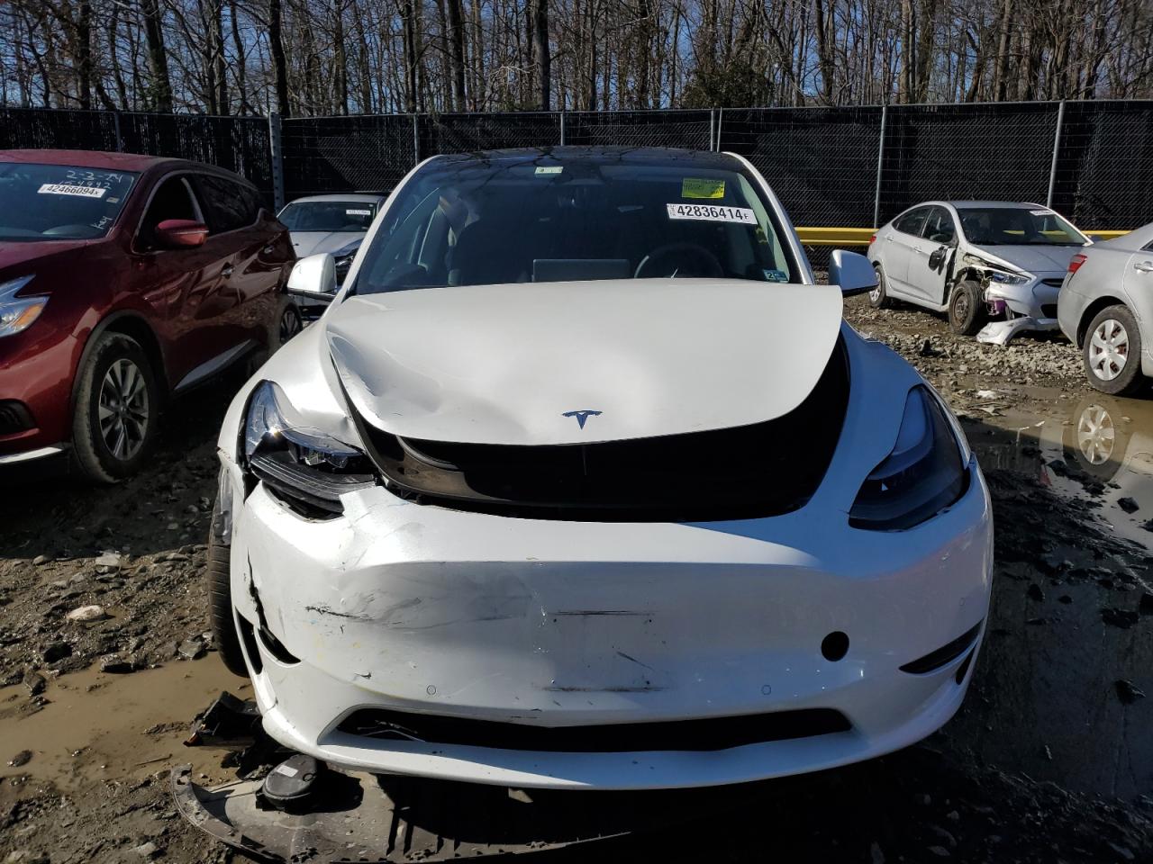 2022 TESLA MODEL Y  VIN:7SAYGDEF6NF379150