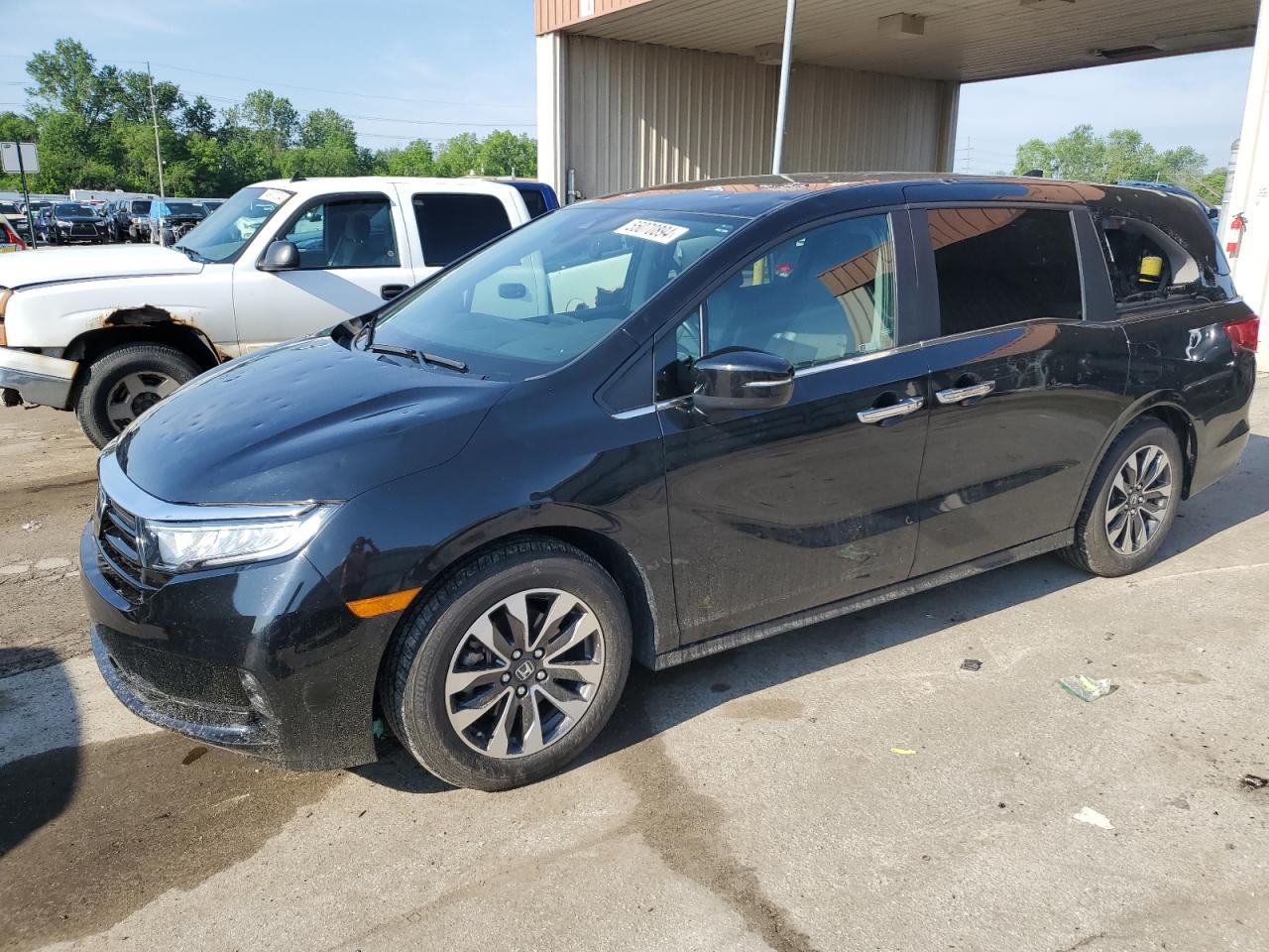 2022 HONDA ODYSSEY EXL VIN:5FNRL6H72NB008936