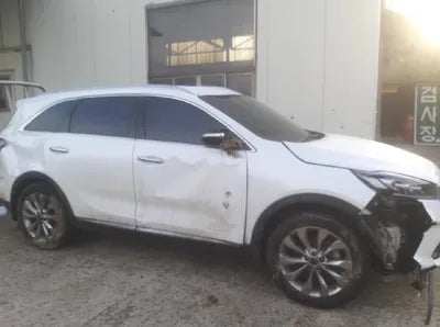 2019 Kia Sorento KNAPH81BDKA479311 VIN:KNAPH81BDKA479311