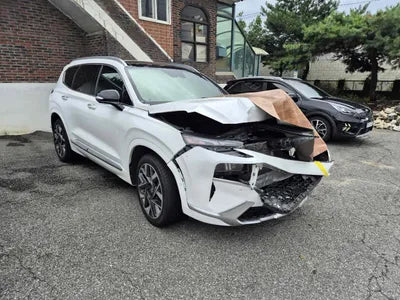 2020 Hyundai Santa FE KMHS581HGMU325237 VIN:KMHS581HGMU325237