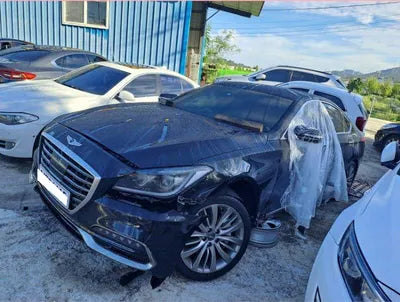 2019 Genesis G80 KMHGM41DDLU341310 VIN:KMHGM41DDLU341310