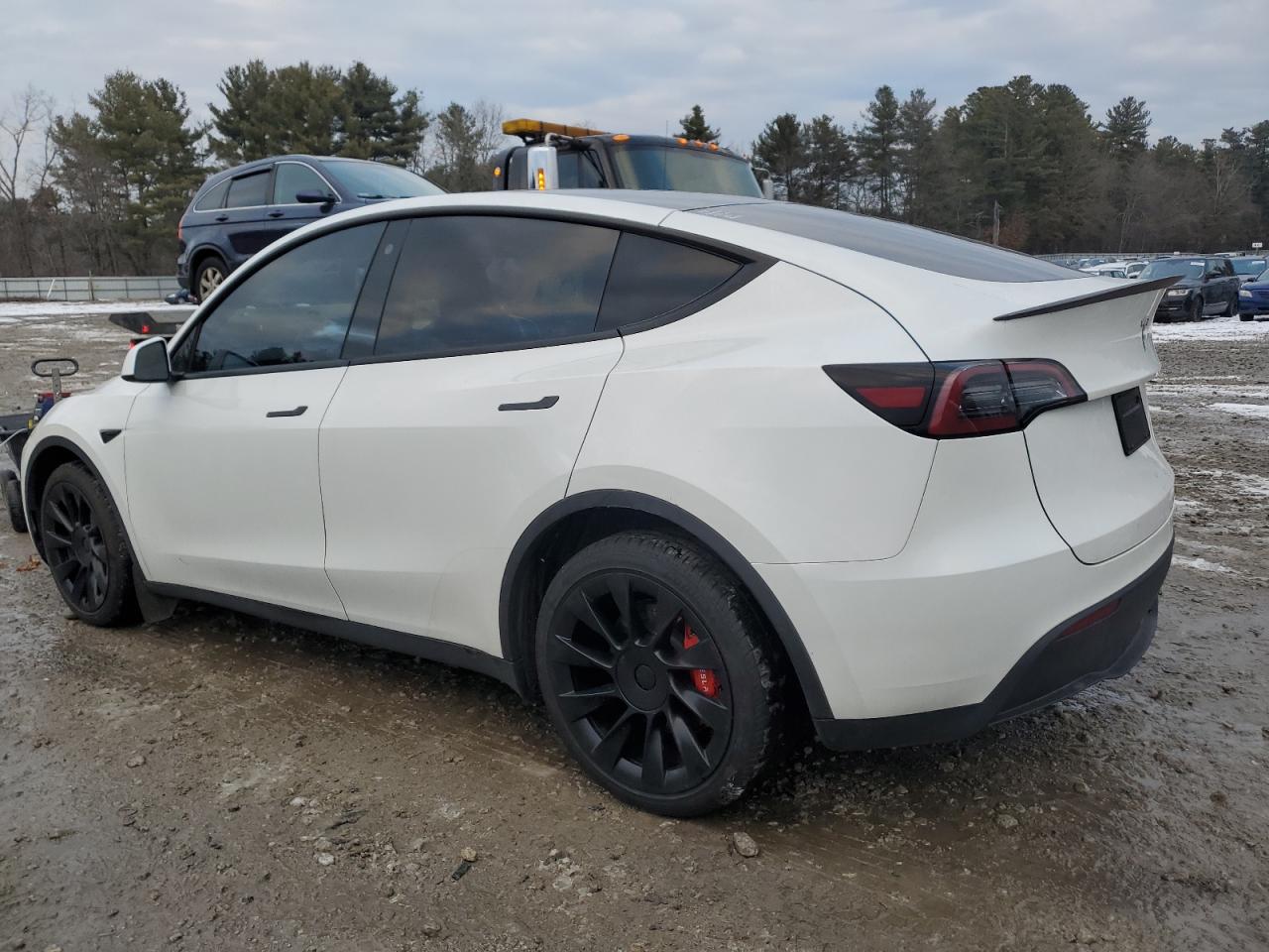 2023 TESLA MODEL Y  VIN:7SAYGDEE1PF675929