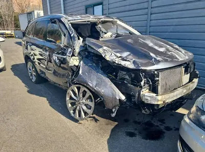 2021 Kia Sorento KNARL81BGMA008213 VIN:KNARL81BGMA008213
