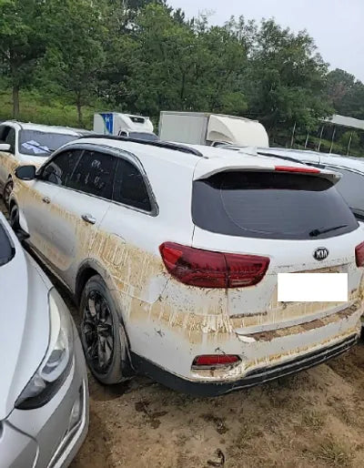 2019 Kia Sorento KNAPK81ABKA486663 VIN:KNAPK81ABKA486663
