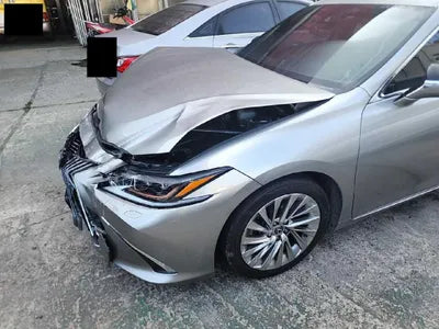 2019 Lexus ES 300 VIN: