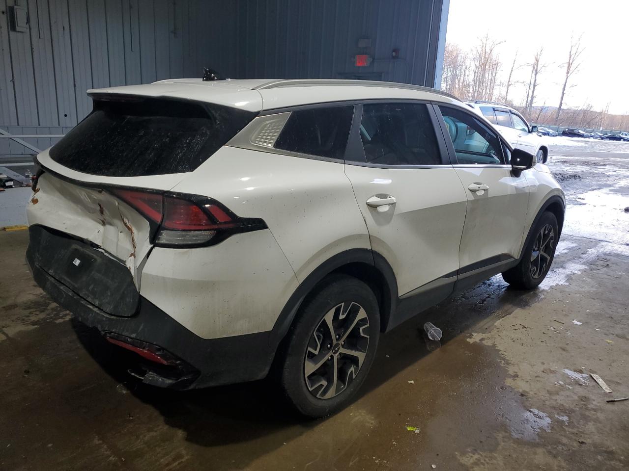 2023 KIA SPORTAGE EX VIN:5XYK3CAFXPG018465