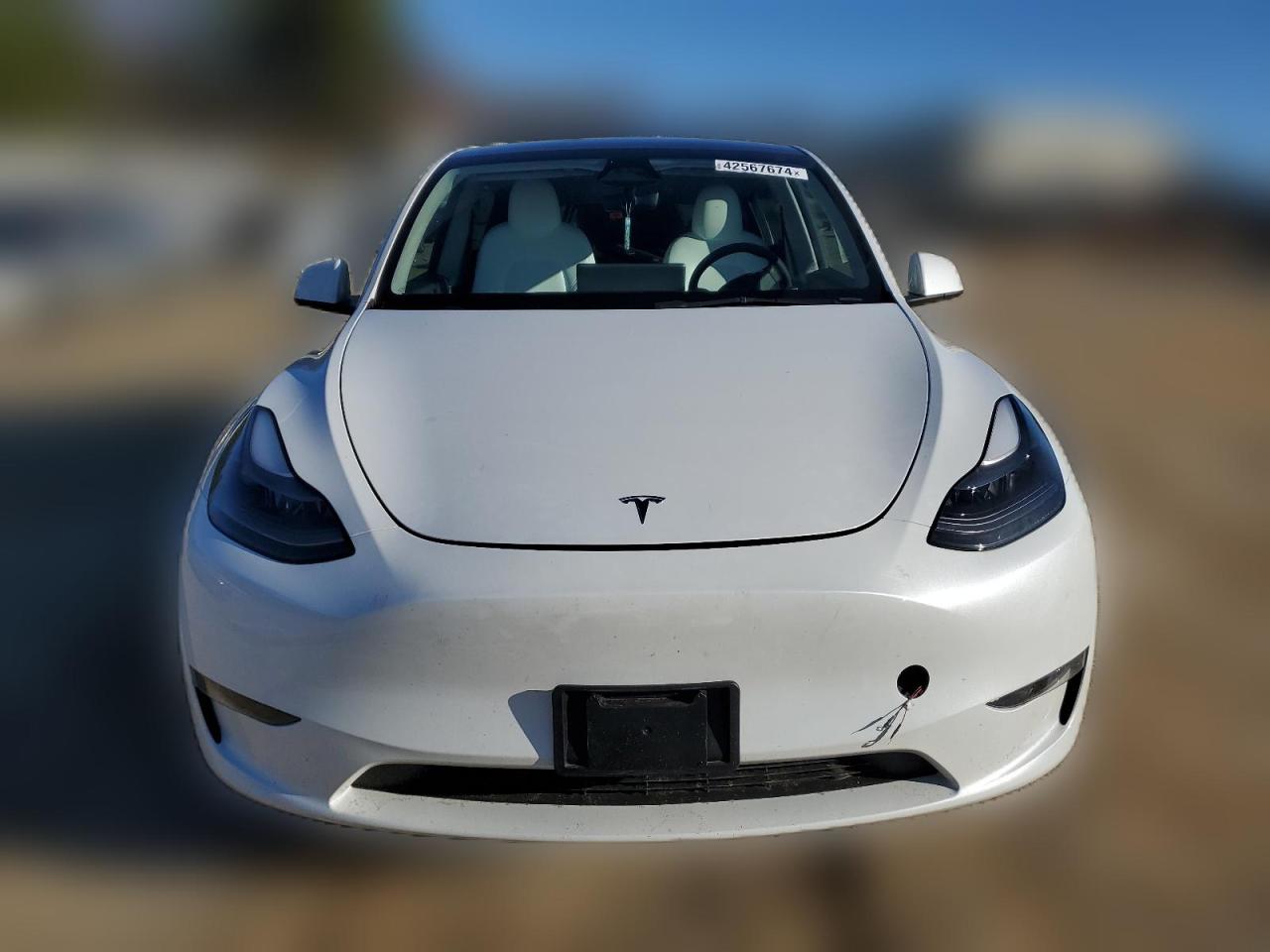 2023 TESLA MODEL Y  VIN:7SAYGDEE7PF810587