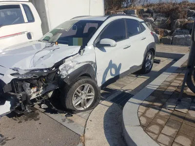 2018 Hyundai Kona KMHK4815GJU121552 VIN:KMHK4815GJU121552