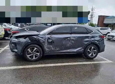 2019 Lexus NX 300 JTJBJRBZ8K2118503 VIN:JTJBJRBZ8K2118503