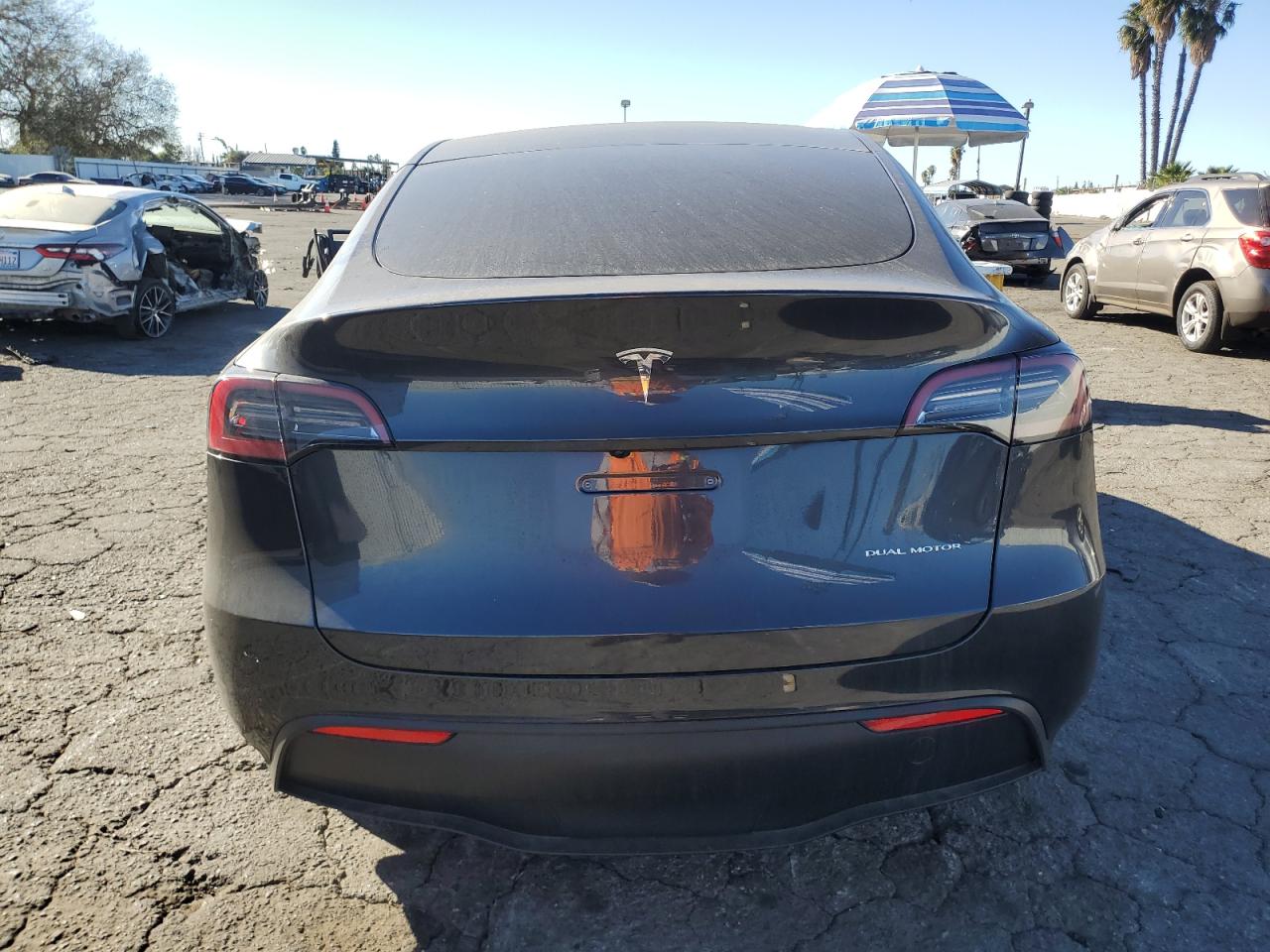 2024 TESLA MODEL Y  VIN:7SAYGDEE1RF060770