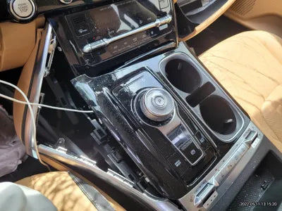 2020 Kia Carnival KNANC81BBMS039848 VIN:KNANC81BBMS039848