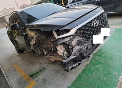 2019 Hyundai Santa FE KMHS281BBKU006706 VIN:KMHS281BBKU006706