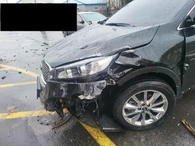 2017 Kia Sorento KNAPS81ABHA319110 VIN:KNAPS81ABHA319110