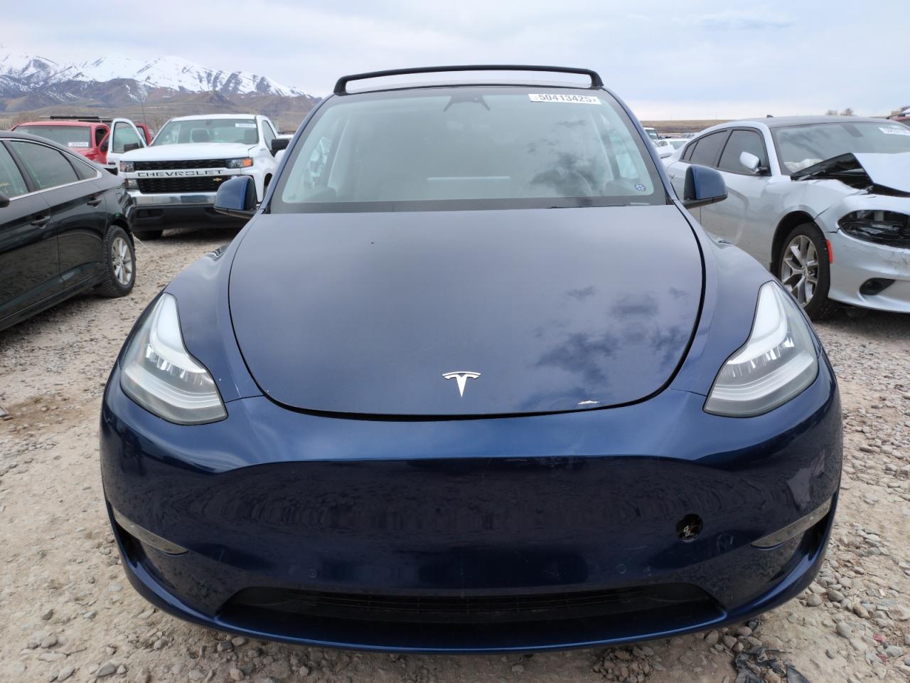 2022 TESLA MODEL Y  VIN:7SAYGDEE2NA009818