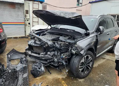 2020 Hyundai Santa FE KMHS381BBLU203297 VIN:KMHS381BBLU203297